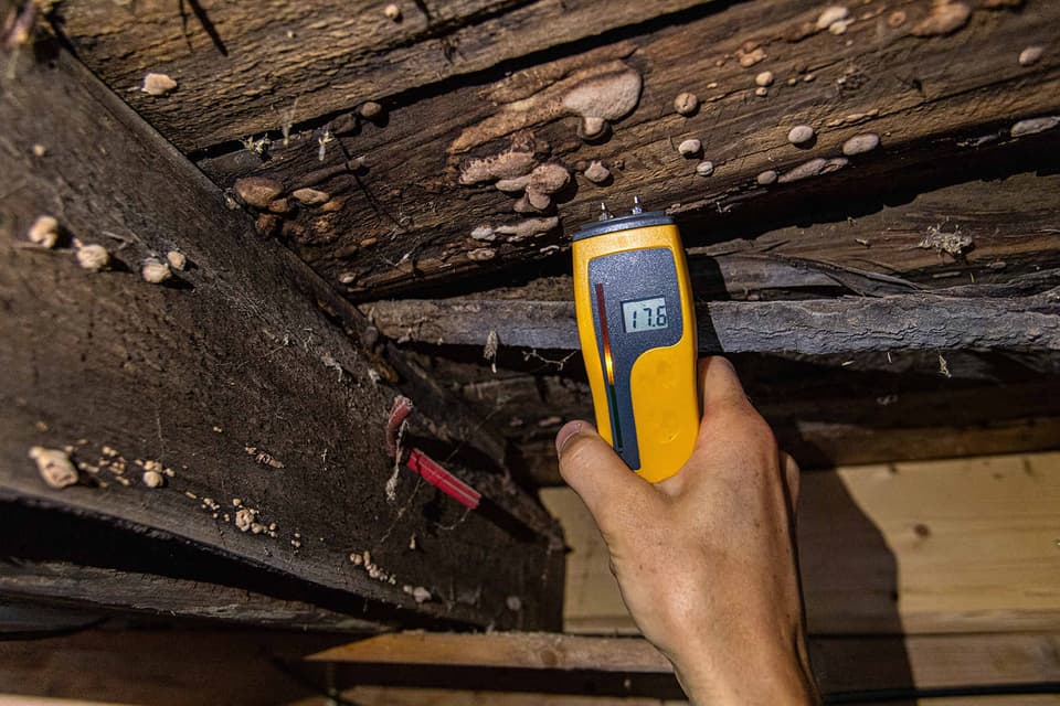 Crawl Space Mold at a Quality Foundation Repair Austin inspection